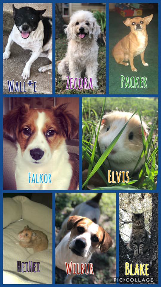 Readers pet photos